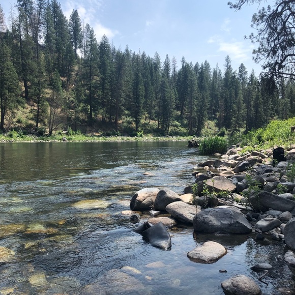 Meet your Posher, Devan - Picture 1 of 1